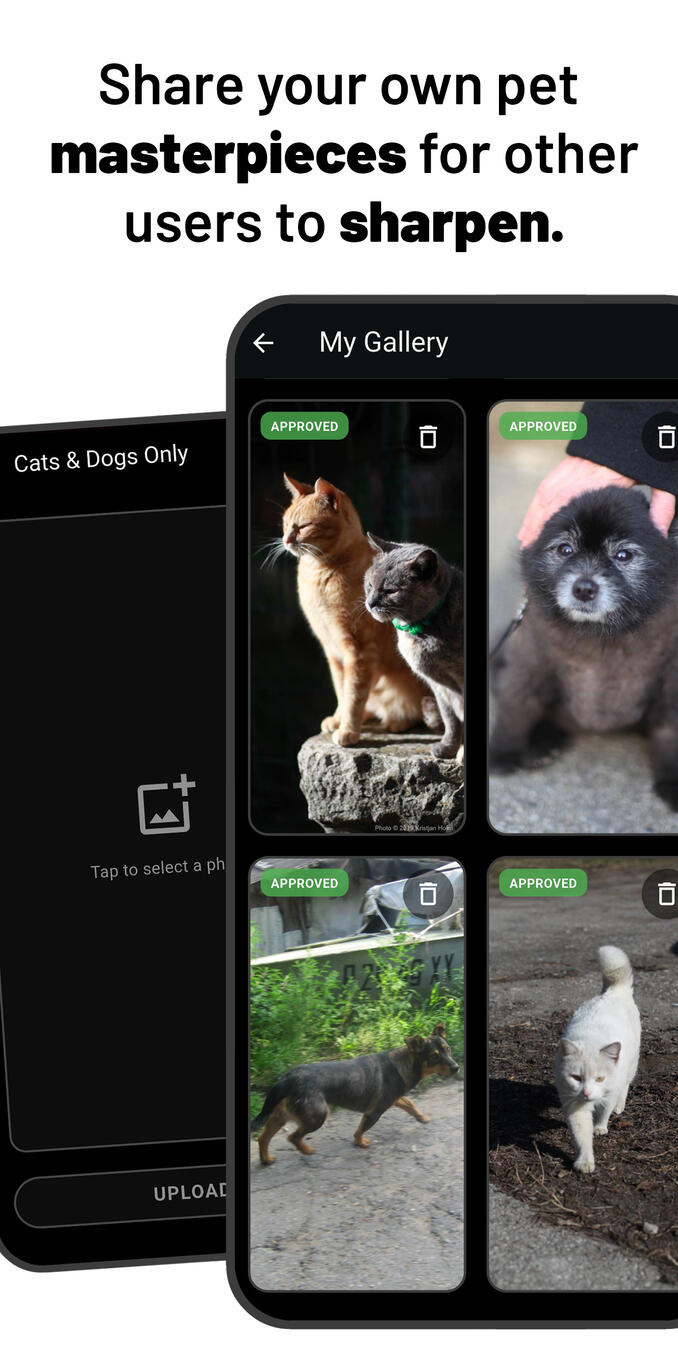 Gallery of uploaded pet photos.