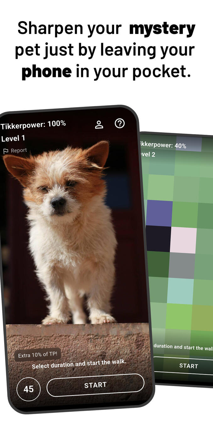 Dog picture is 100% sharp.