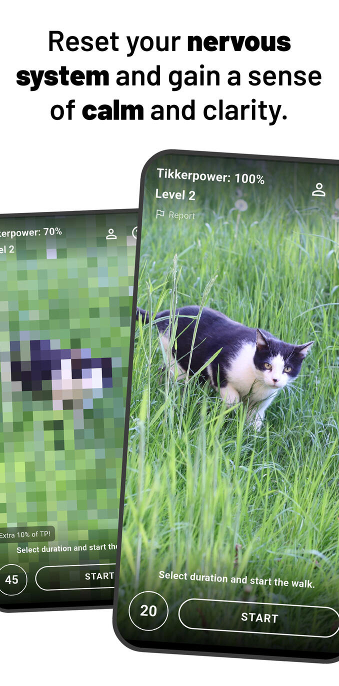 Pixelated cat photo is getting sharper.
