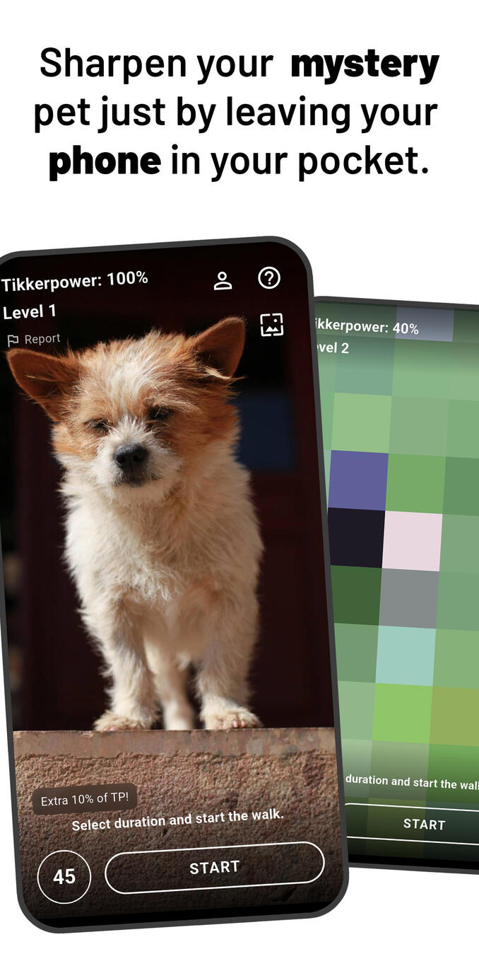 Dog picture is 100% sharp.